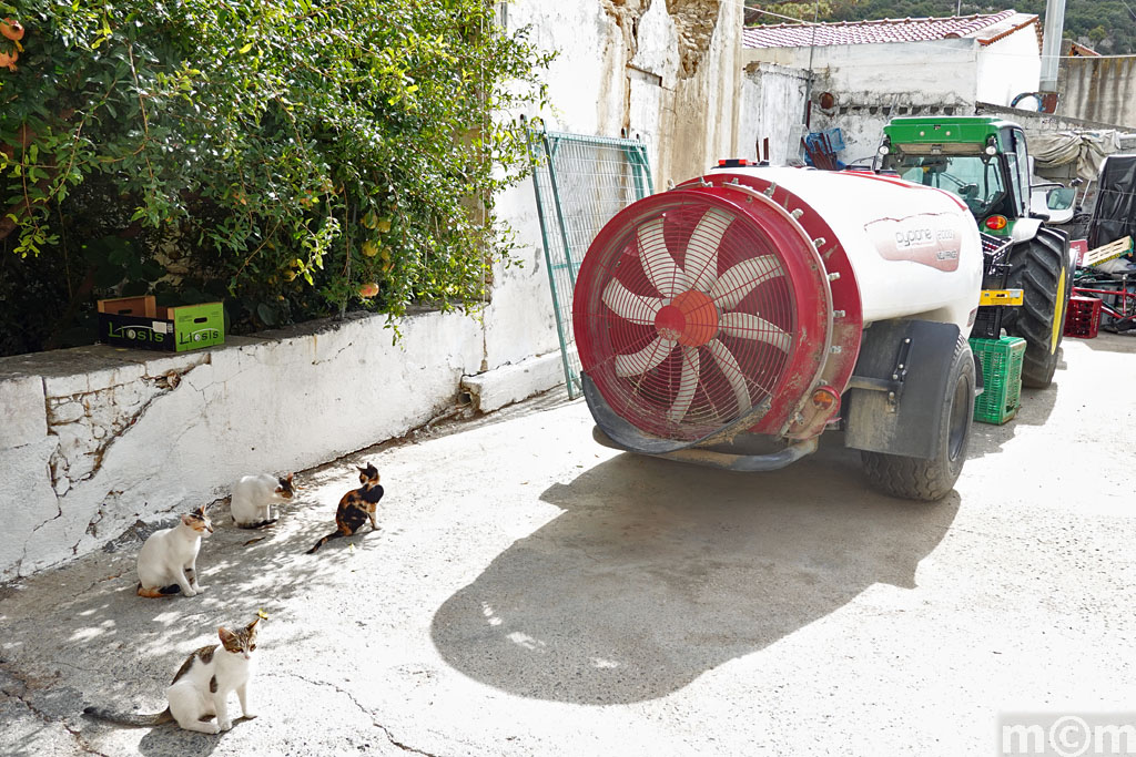 Crete  Heraklion, Houdetsi
