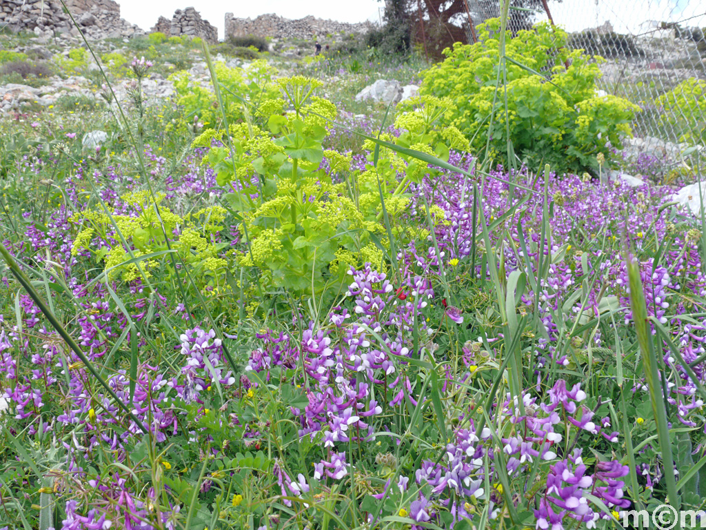 Crete Heraklion, Kera