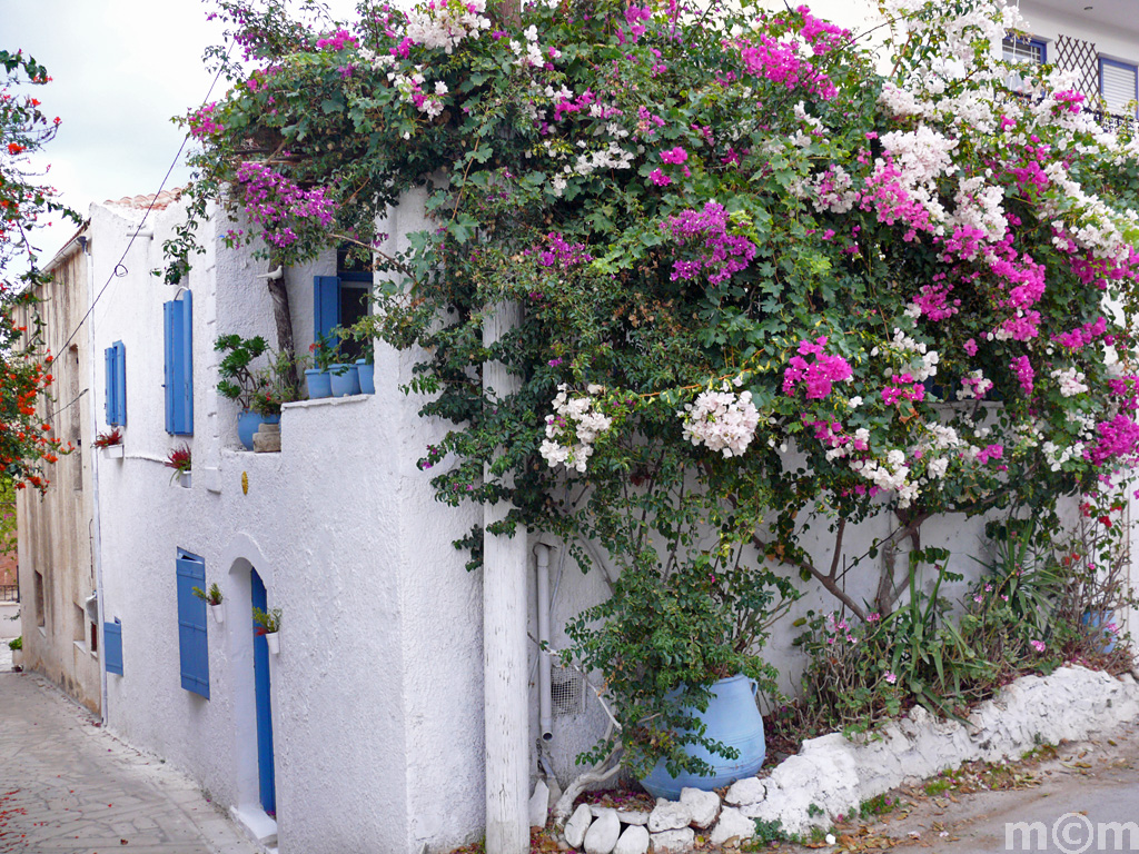Crete Rethminon, Panormos