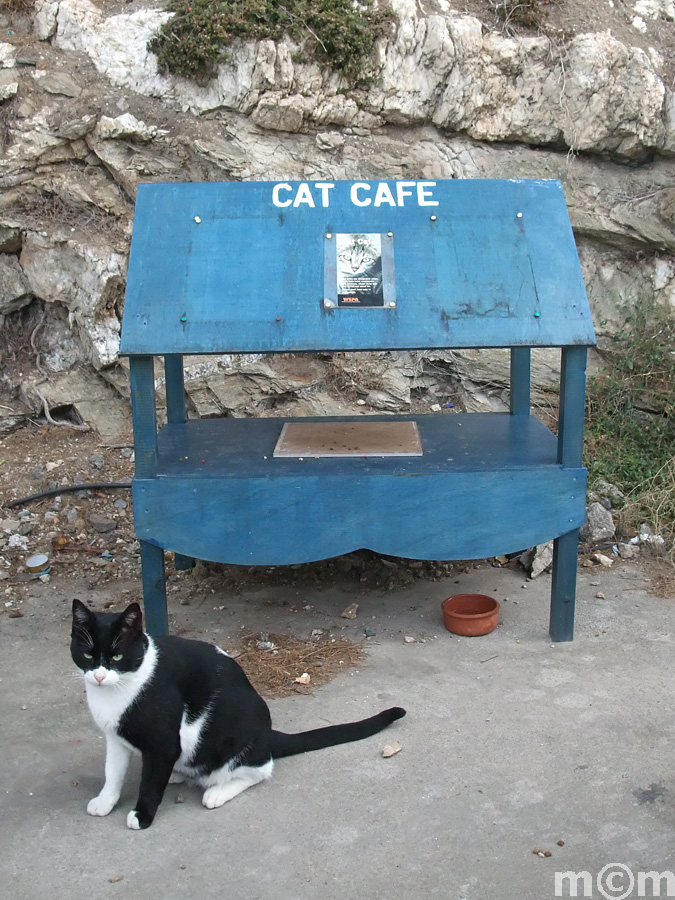 Crete Rethminon, Panormos