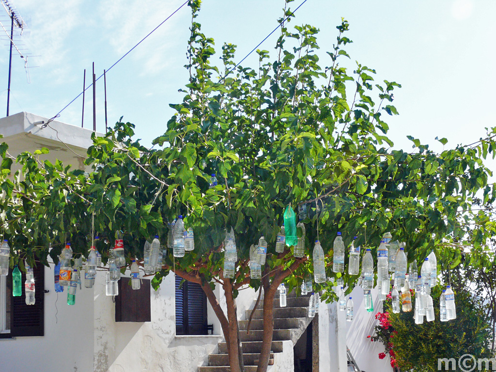 Crete Chania, Azogires