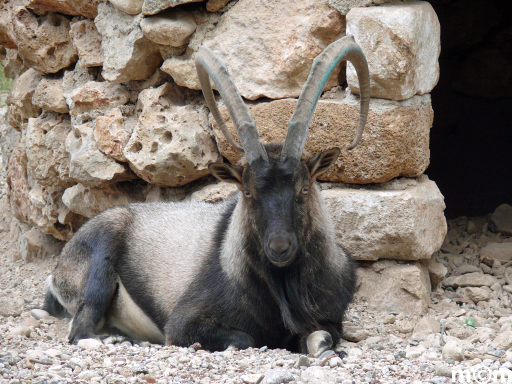 Crete, Chania