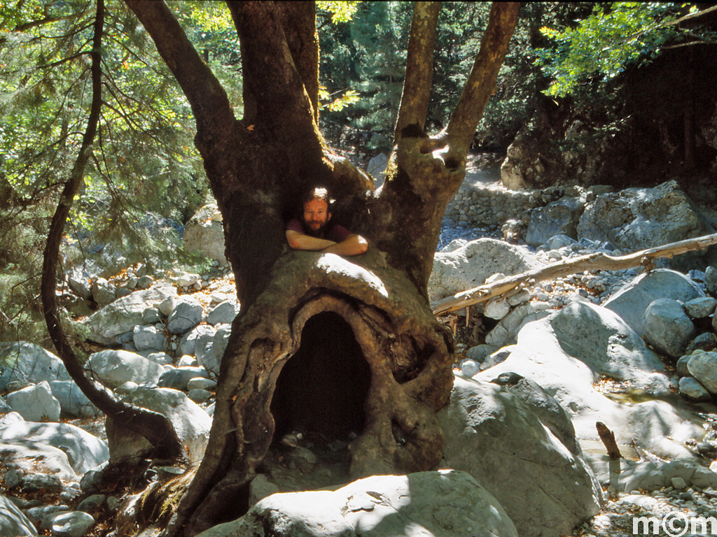Crete Chania, Samaria gorge