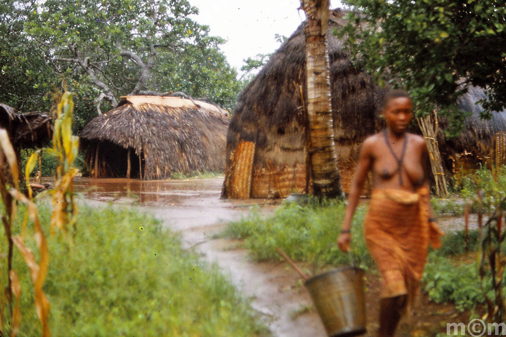 Kenia, countryside out of Mombasa