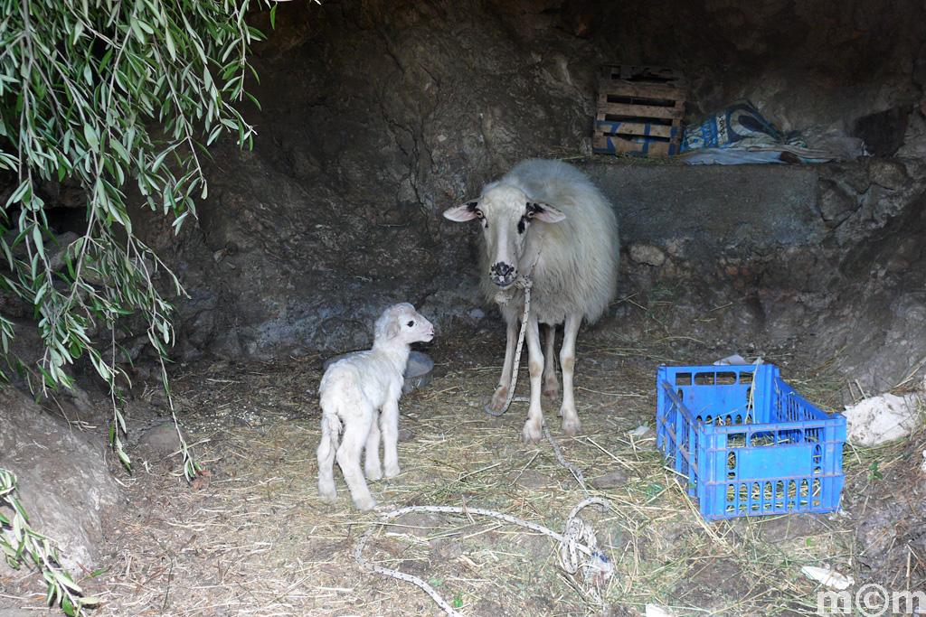 Crete Lassithi, Chametoulo