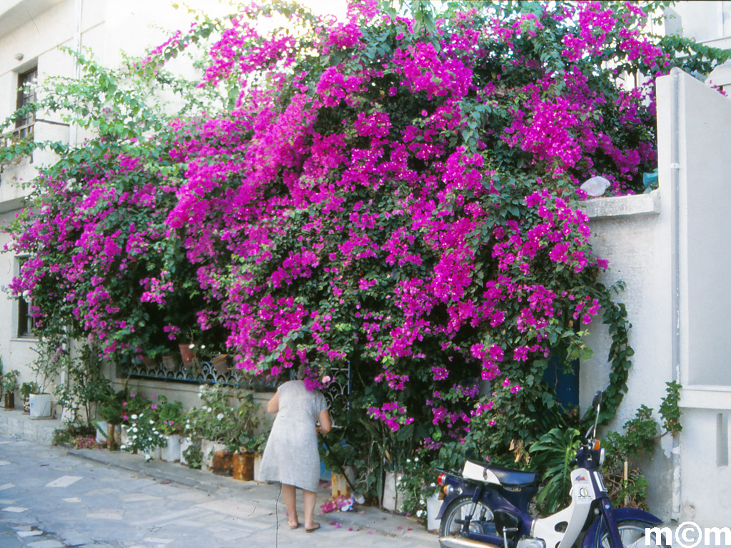 Crete Lassithi Ierapetra 1990