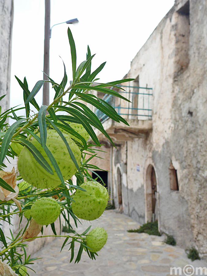 Crete Lassithi, Agio Stefanos