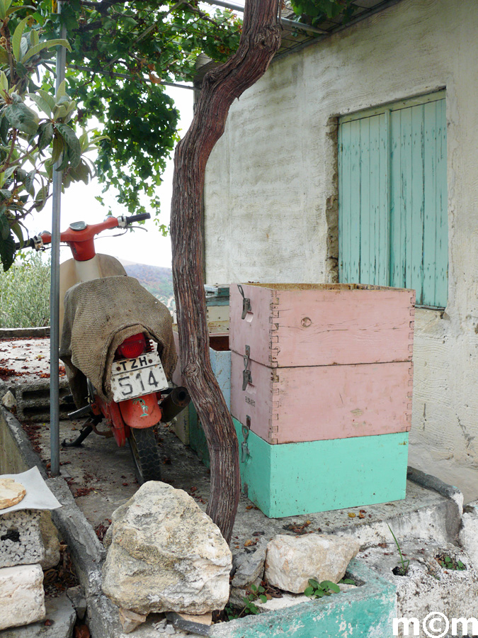 Crete Lassithi, Pefki 