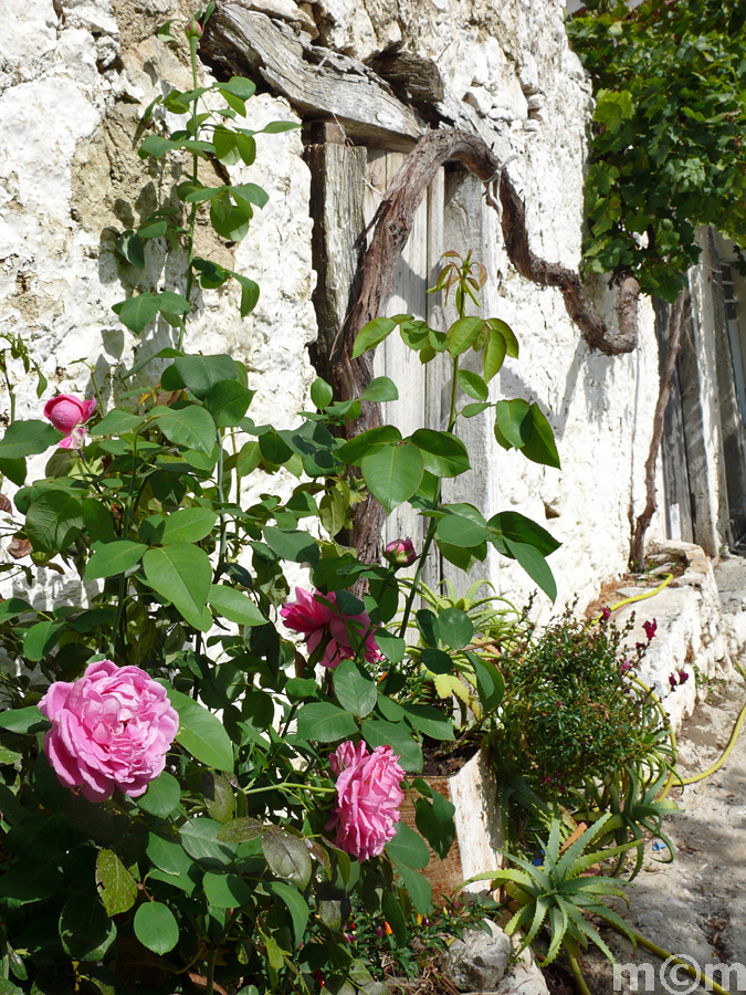 Crete Lassithi, Christos