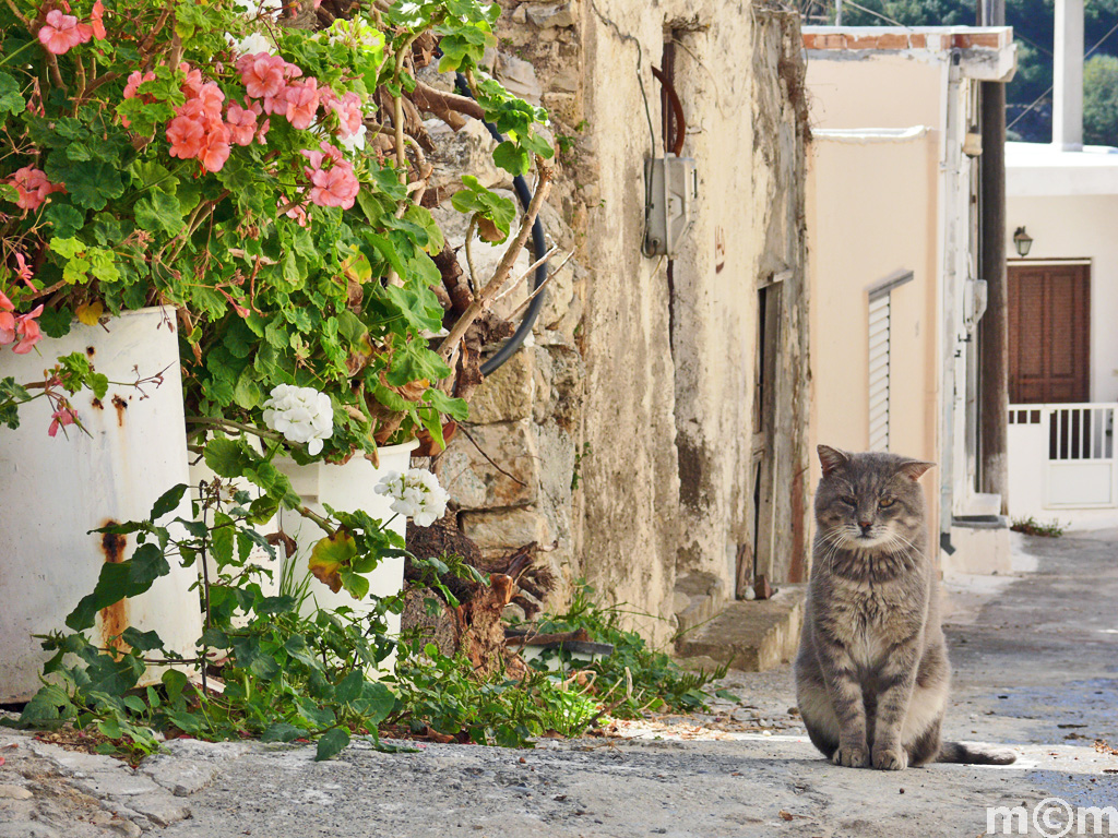 Crete Lassithi, Meseleri