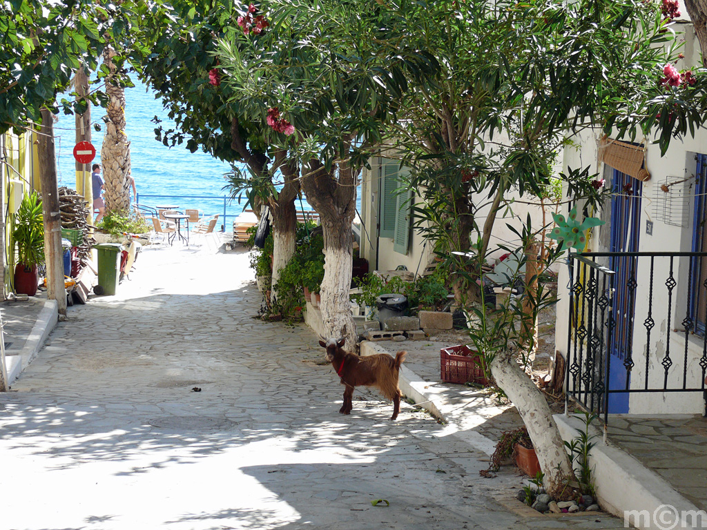 Crete Lassithi, Myrtos