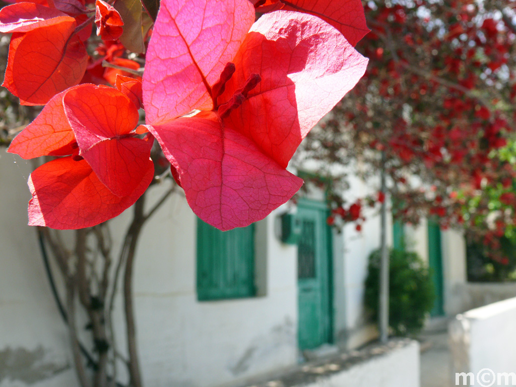 Crete Lassithi, Mythoi