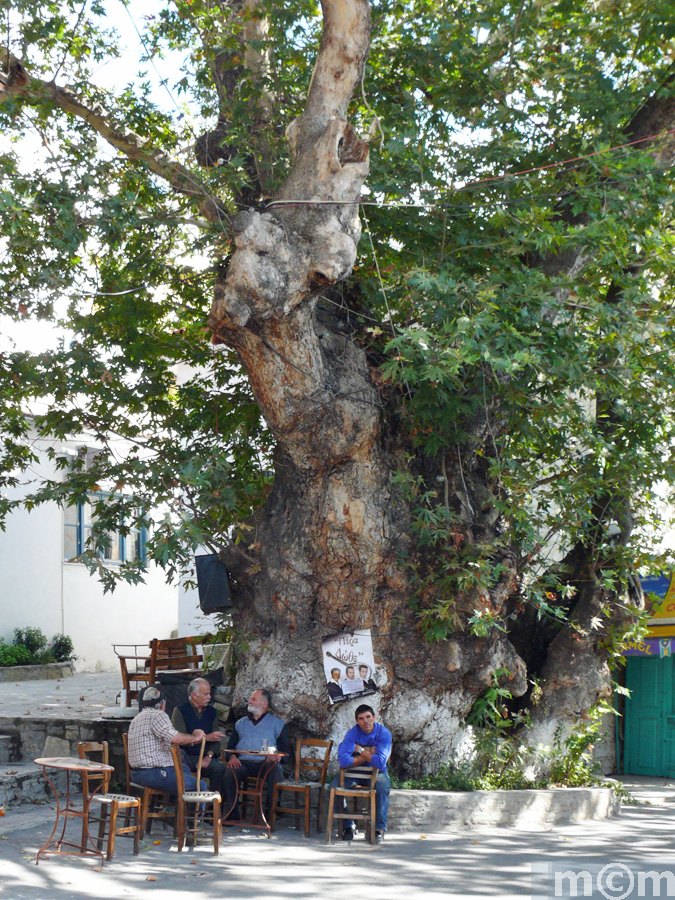 Crete Heraklion, Ano Vianos