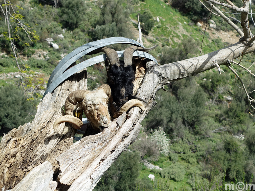 Crete Rethminon, Meros