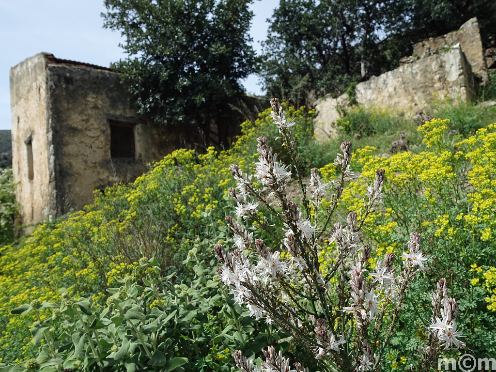 Crete Rethminon, Meros Vistagi