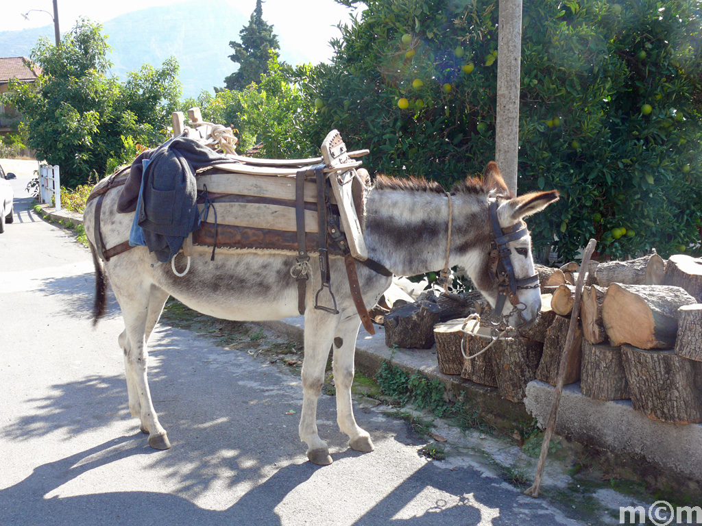 Crete Rethminon, Spili Lampini