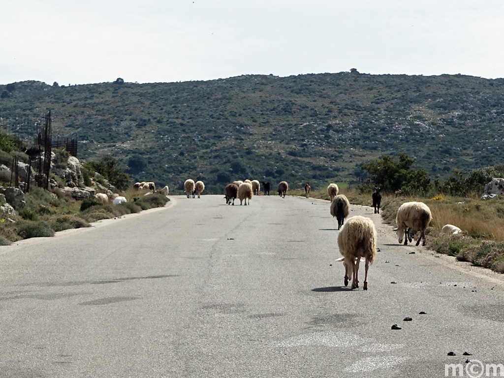 Crete Rethminon, Spili Fourkismenou