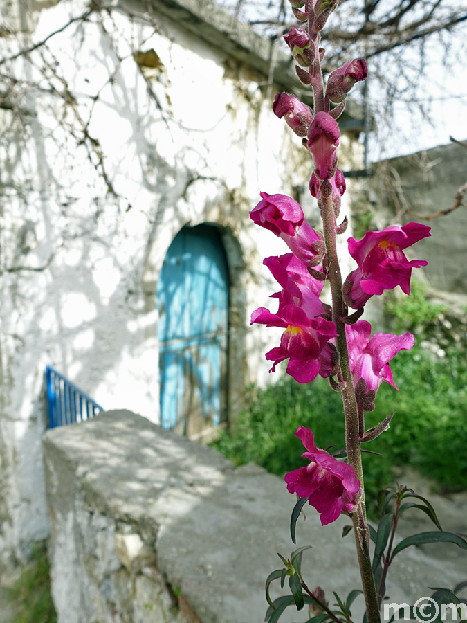 Crete Rethminon, Vistagi