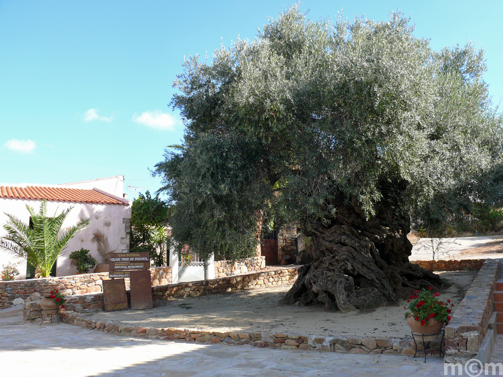 Crete Chania, Vouves