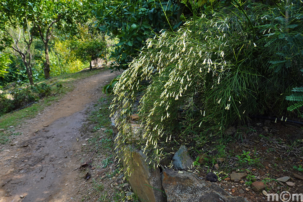 Crete Chania, Botanical Park & Gardens 