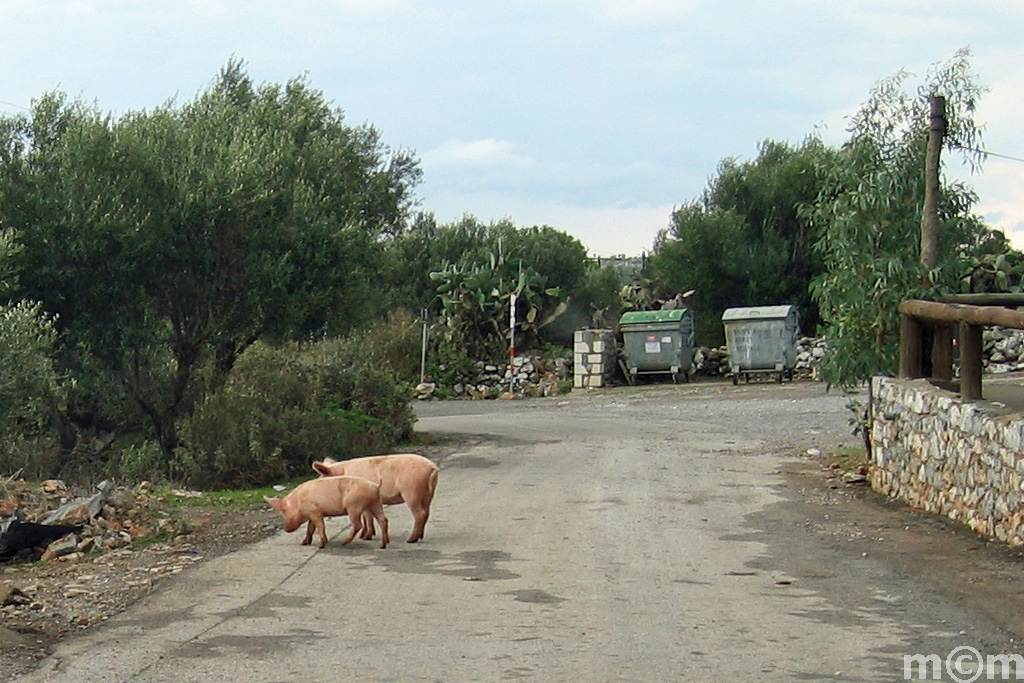 Greece Peloponnese, Anatoliki Mani, Stavri