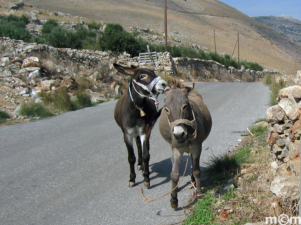 Greece Peloponnese, Anatoliki Mani, near Tainaron