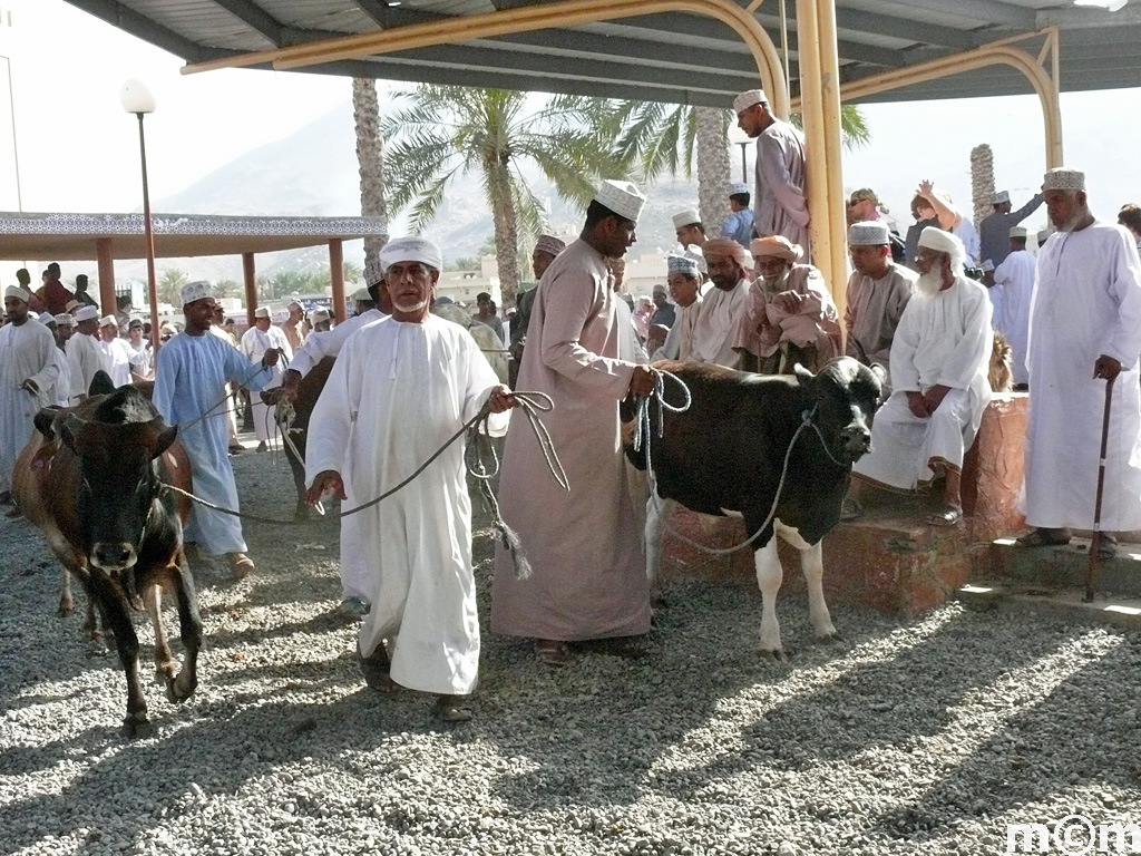 Oman, Nizwa Livestock Market