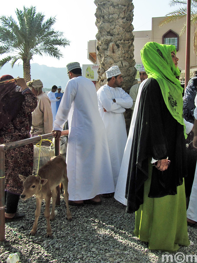 Oman, Nizwa Livestock Market