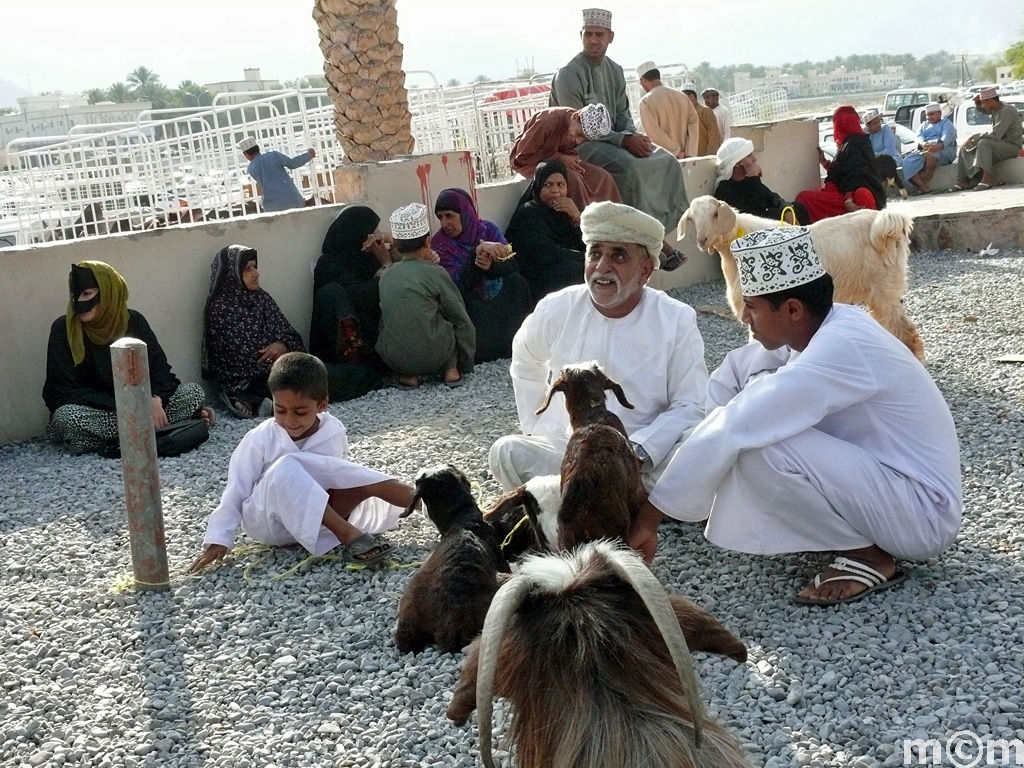 Oman, Nizwa Livestock Market