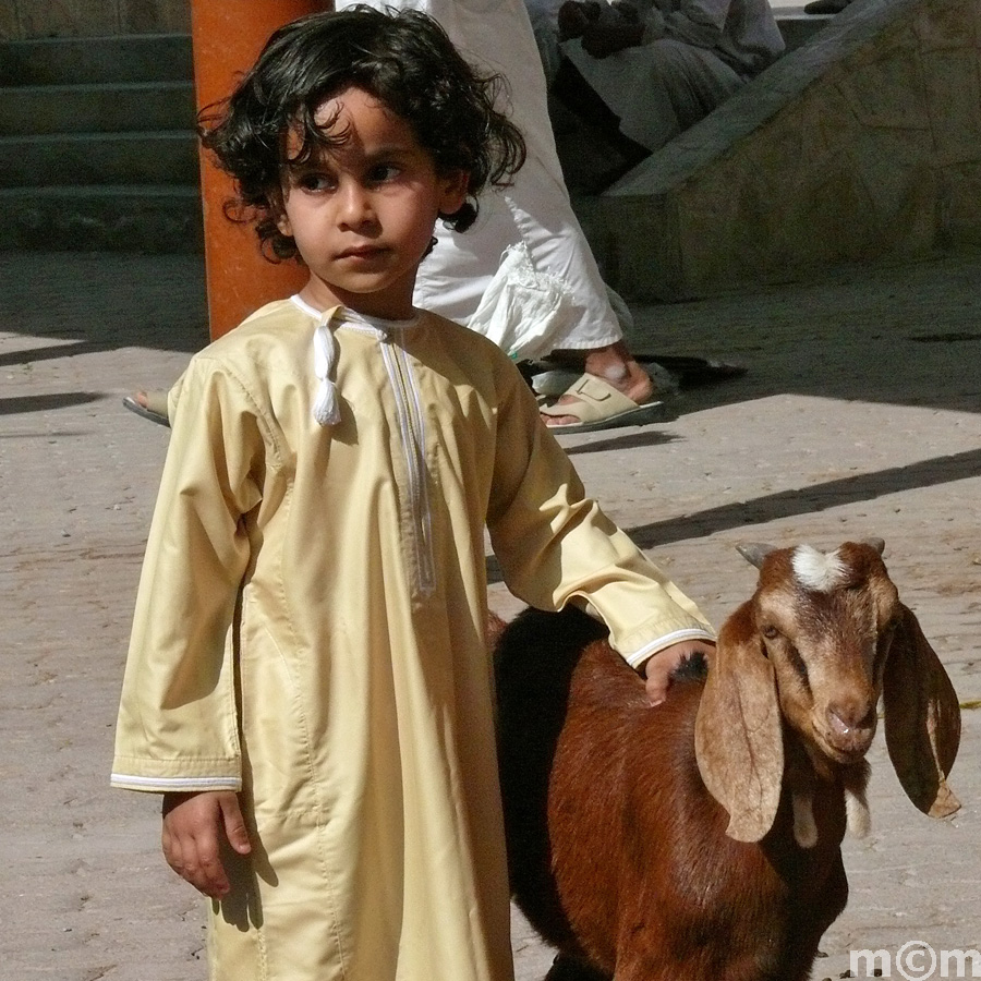 Oman, Nizwa Livestock Market