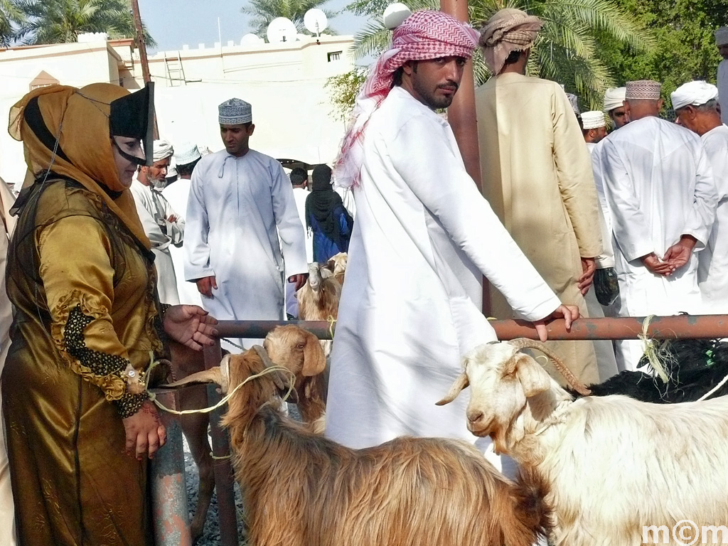 Oman, Nizwa Livestock Market