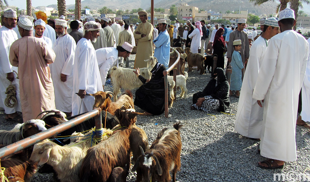 Oman, Nizwa Livestock Market