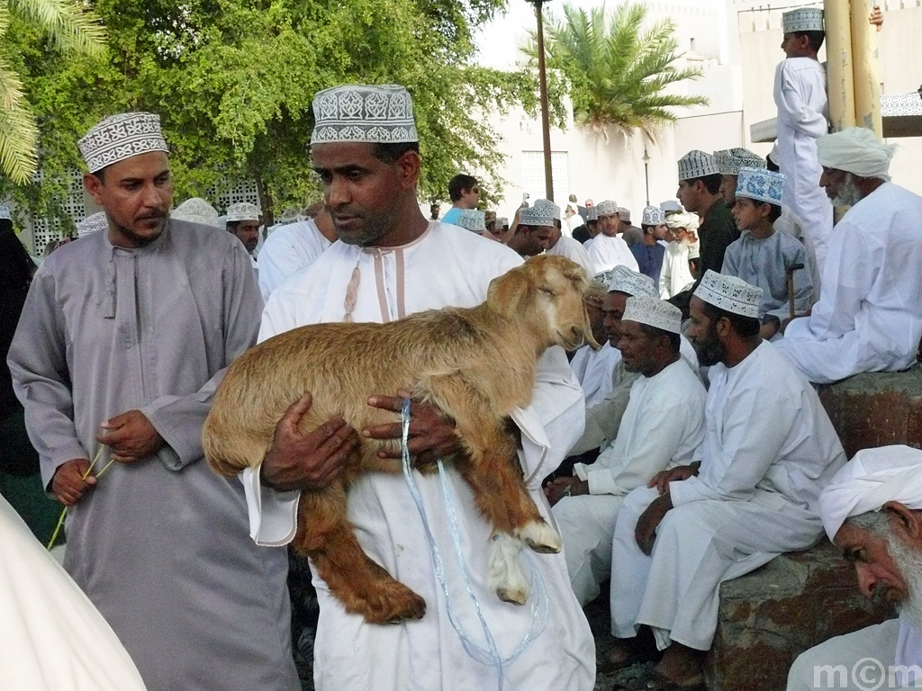 Oman, Nizwa Livestock Market