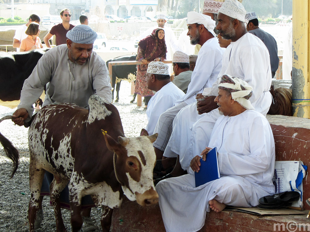 Oman, Nizwa Livestock Market