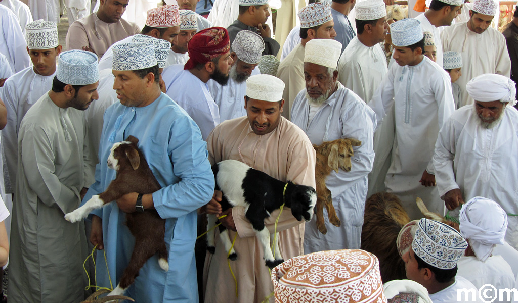 Oman, Nizwa Livestock Market