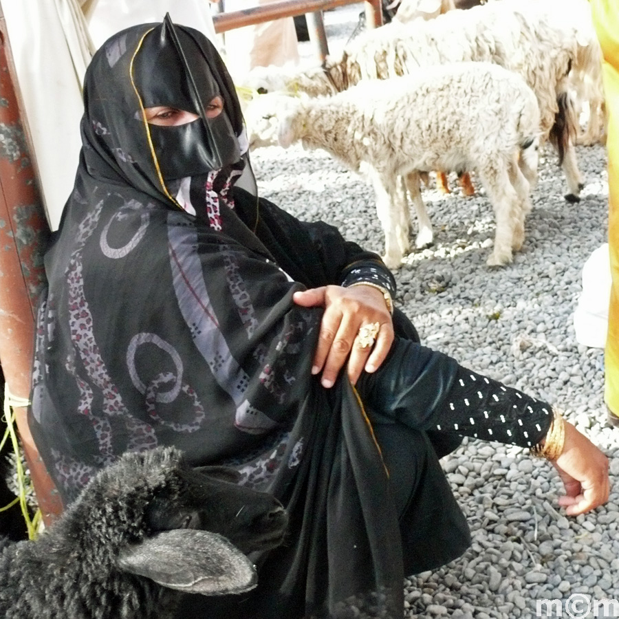 Oman, Nizwa Livestock Market