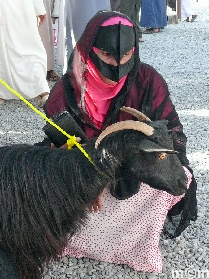 Oman, Nizwa Livestock Market