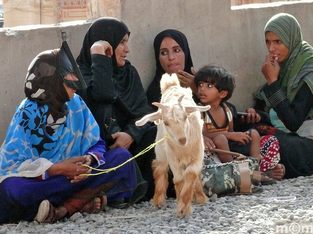 Oman, Nizwa Livestock Market