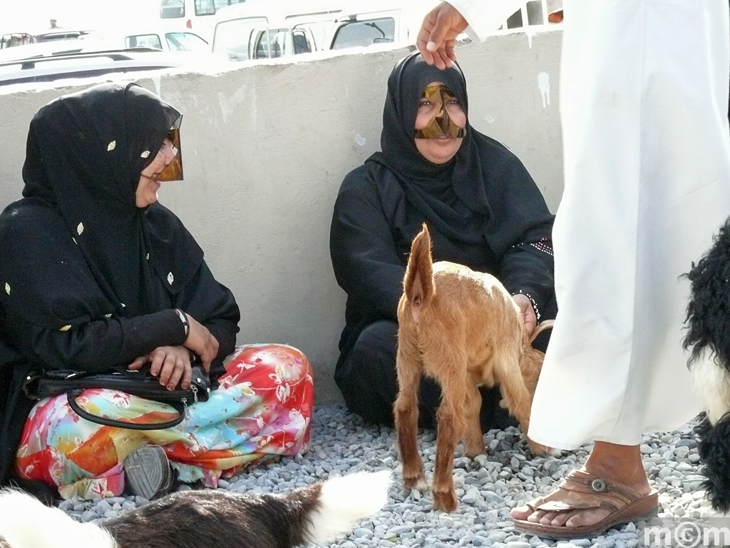 Oman, Nizwa Livestock Market