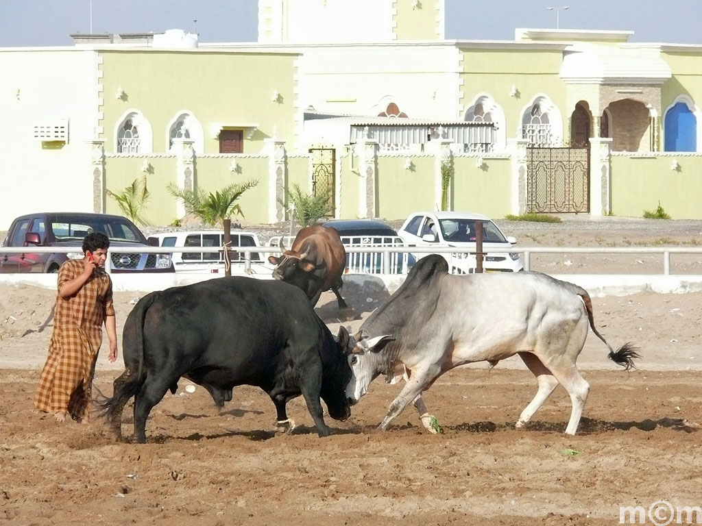 Oman, Barka