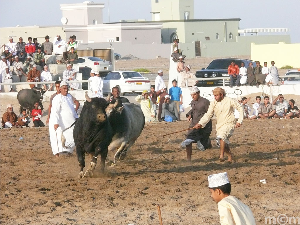 Oman, Barka