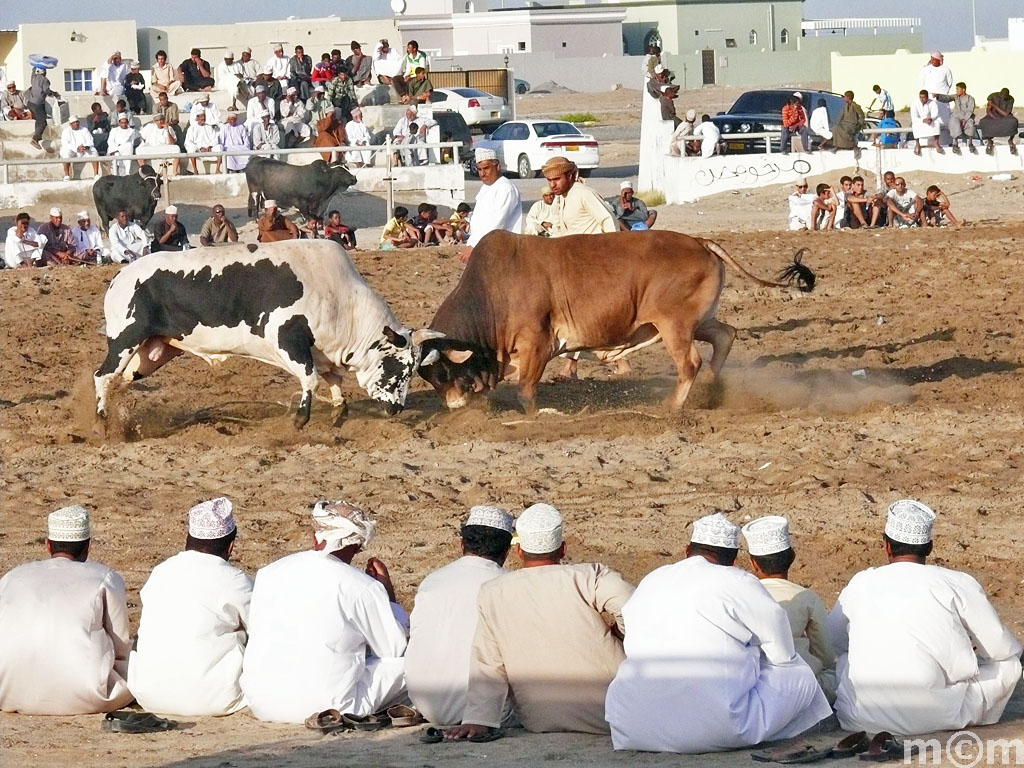 Oman, Barka