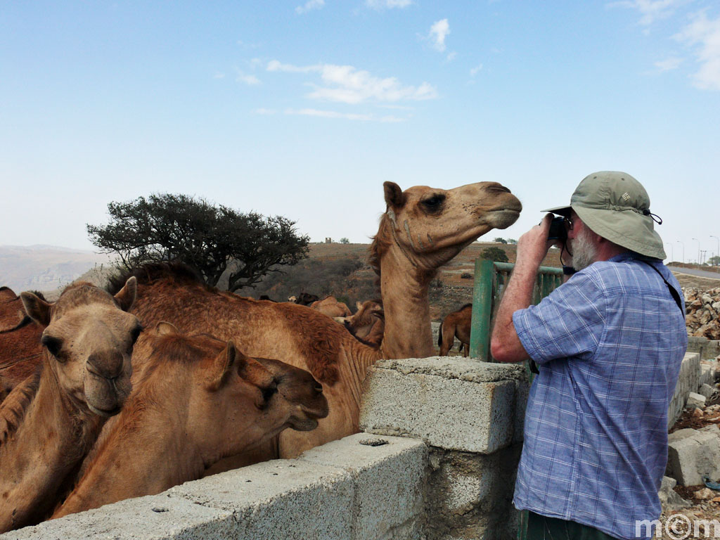 Oman, near Salalah