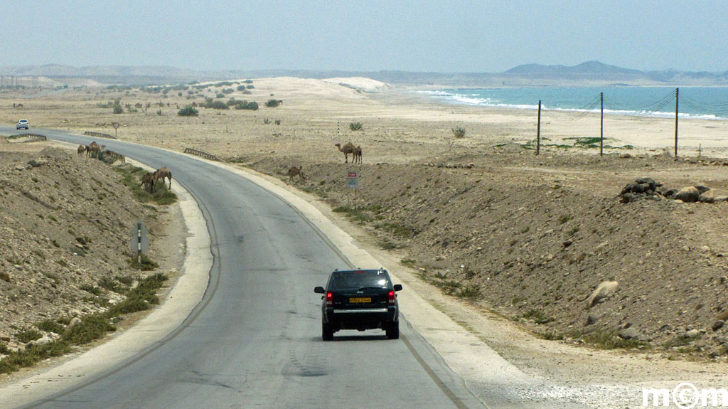 Oman, Dhofar