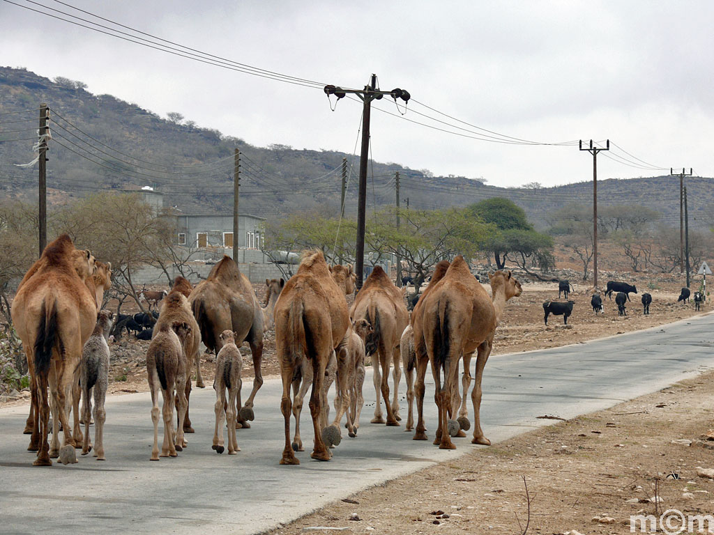 Oman, Dhofar