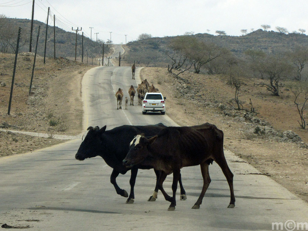 Oman, Dhofar