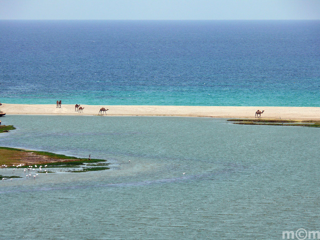 Oman, Dhofar, Khor Rori