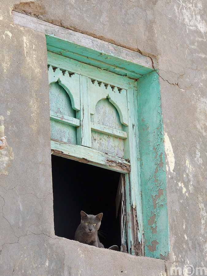 Oman, Dhofar, Mirbat