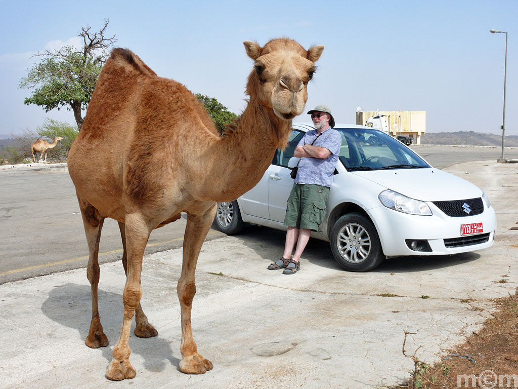 Oman, Dhofar, near Nabi Ayoub's Tomb