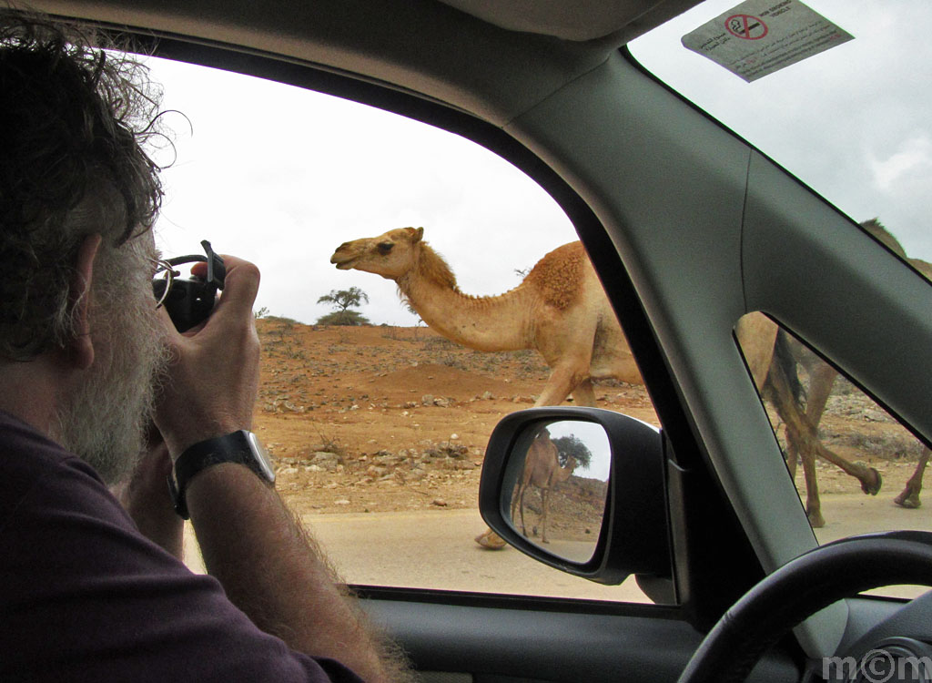 Oman, Dhofar